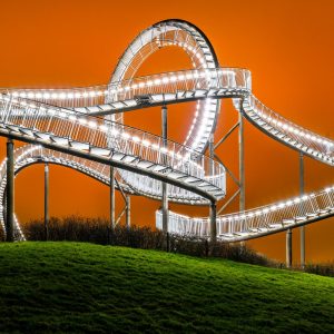 Tiger & Turtle
